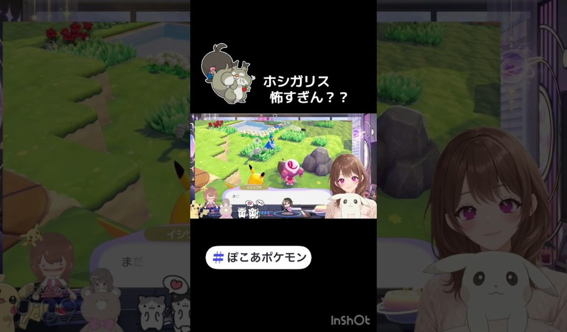ホシガリスの言うてる事…ヤバいで？？#ぽこあポケモン #ぽこポケ　#ホシガリス　#ポケモン
