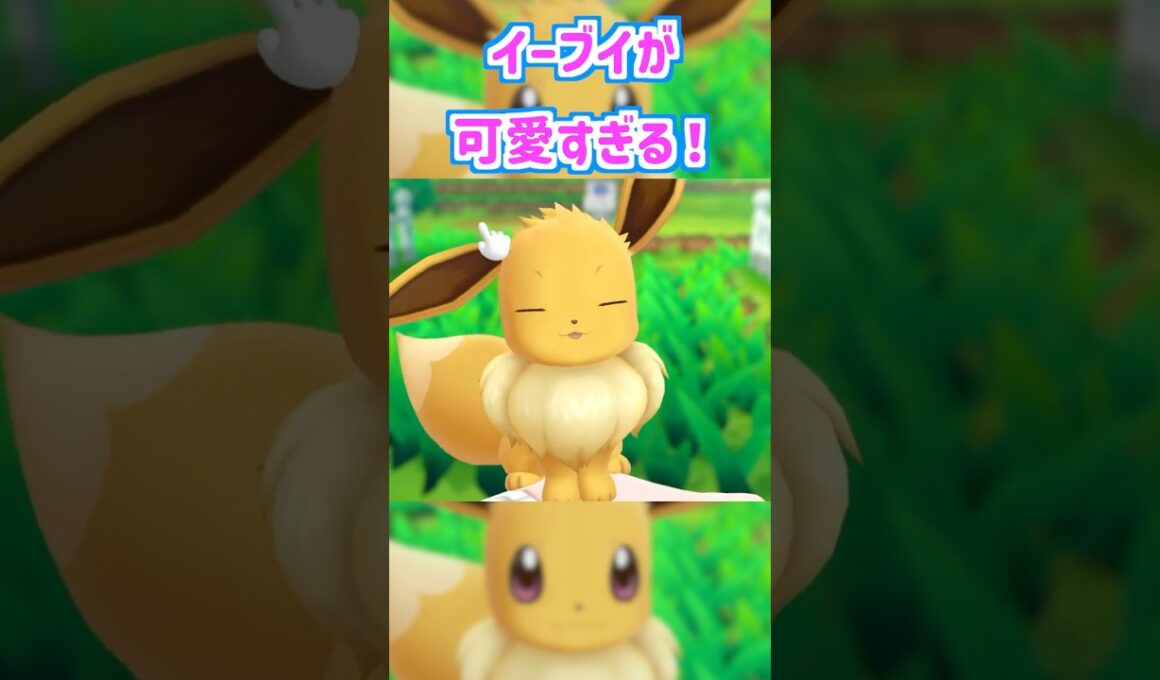 イーブイが可愛すぎる！ #ポケモン #ピカブイ #イーブイ