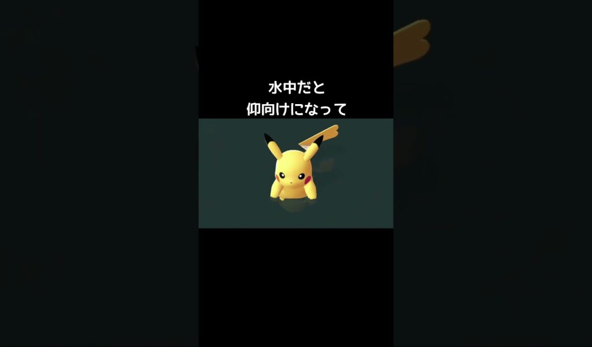 ピカチュウの寝方の違い【ポケモンZA】