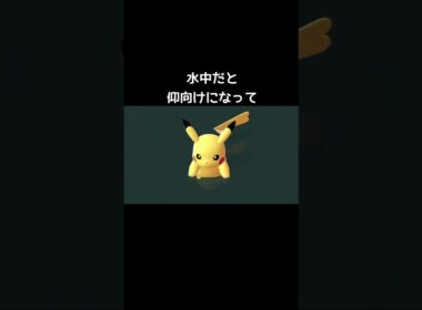 ピカチュウの寝方の違い【ポケモンZA】