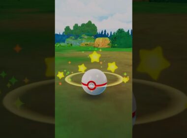 PokemonGO Fest2026 ゲンシカイオーガバトル　#pokemongo  #fest2026  #shorts