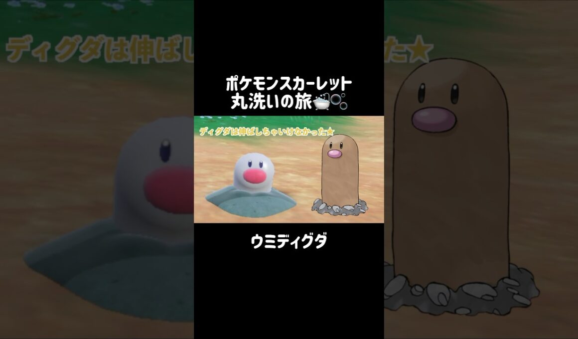ディグダと実は別種なウミディグダを洗うと...？🕳🐟 #ウミディグダ #wiglett  #ポケモンsv #ポケモンスカーレット #ポケモン #pokemon #shorts
