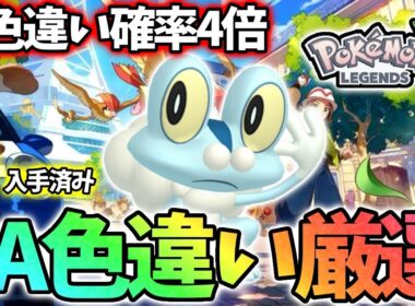 【DAY3】今日で絶対にケロマツを光らす【ポケモンレジェンズza】