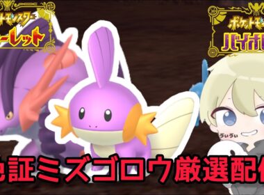 【色違い厳選】色証メガラグラージを使いたい。色違いミズゴロウ厳選配信【ポケモンSV】#ポケモン #ポケモンチャンピオンズ #pokemon #ポケモンSV #shorts