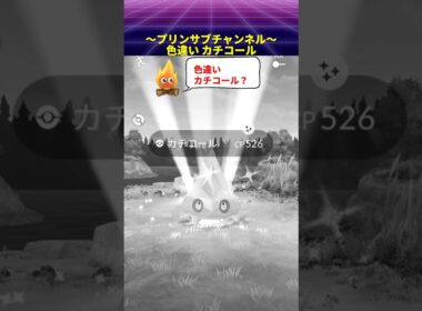 🎁#色違い ✨ #カチコール #ポケモンgo with  #茅原実里 / #ParadiseLost #カチコール #pokemongo #paradiselost