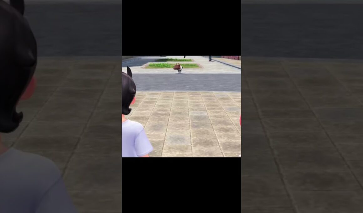 ヤンチャムの足音　#Shorts