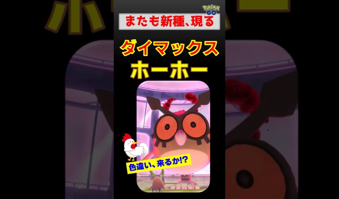 初日色違い出た？【ダイマックス ホーホー】またも新種が登場しました #ポケモンgo #ポケモン #pokemongo #ダイマックス #ホーホー #ザシアン
