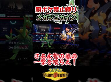 【厨ポケ禁止】オシャレすぎる御三家パでメガジュカインを使っていくぞ‼️#ポケモンチャンピオンズ #ポケモン #ポケチャン #ゆっくり実況