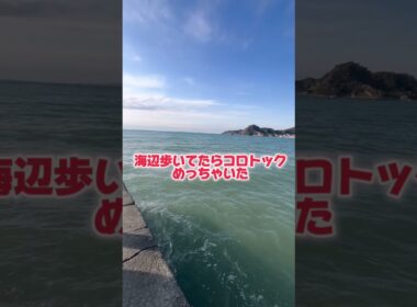 海辺散歩してみたらコロトックの群れに遭遇した #ポケモン #コロトック #ダイヤモンドパール #声真似 #ものまね