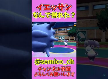 イエッサンどうして？？ #shorts