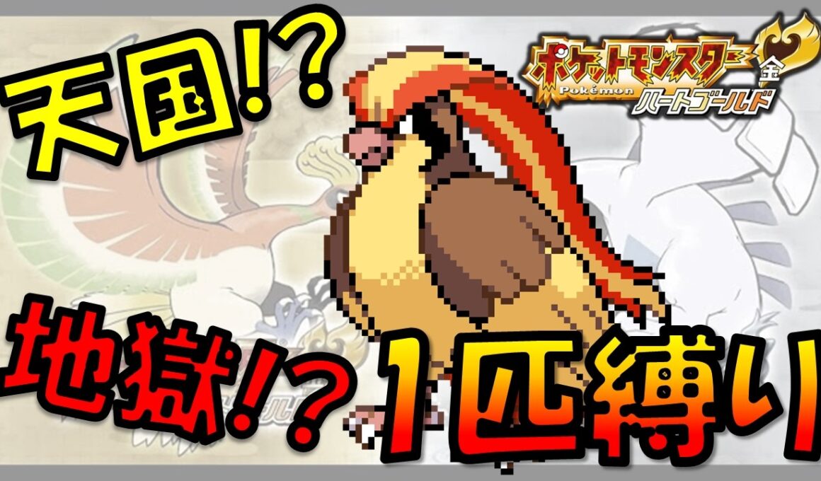 【HGSS】ポッポLv1で旅を始めたら使える技がなさすぎて地獄の旅が始まった!!ポケモン1匹縛りプレイ!！ポッポきみに決めた!!