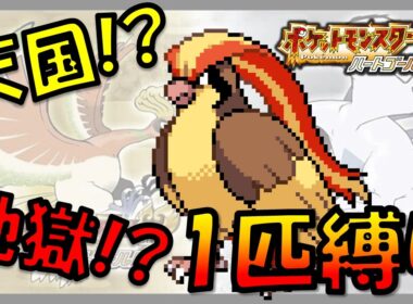 【HGSS】ポッポLv1で旅を始めたら使える技がなさすぎて地獄の旅が始まった!!ポケモン1匹縛りプレイ!！ポッポきみに決めた!!
