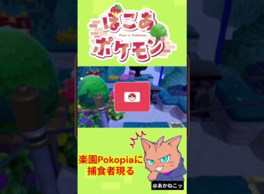 ぽこログ～捕食者来る～ #ポケモン#ぽこあポケモン#ラフレシア#チルット