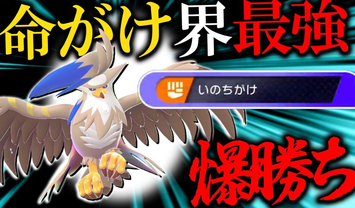 【命がけ界隈騒然】命がけメガムクホークがガチポケモンすぎる件について【ポケモンチャンピオンズ】