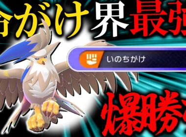 【命がけ界隈騒然】命がけメガムクホークがガチポケモンすぎる件について【ポケモンチャンピオンズ】