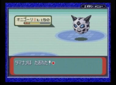 【ゆっくり実況】アメモース1匹でダイゴを倒す！⑥【縛りプレイ】