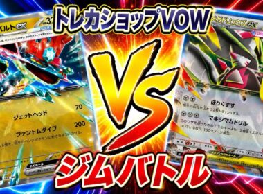 【ポケカ対戦】環境激突！ドラパルト🆚メガドリュウズ