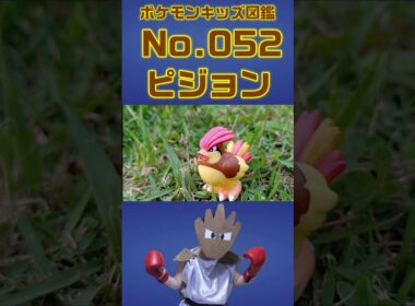 ポケモン実体図鑑No 052ピジョン #ポケモンキッズ#ピジョン