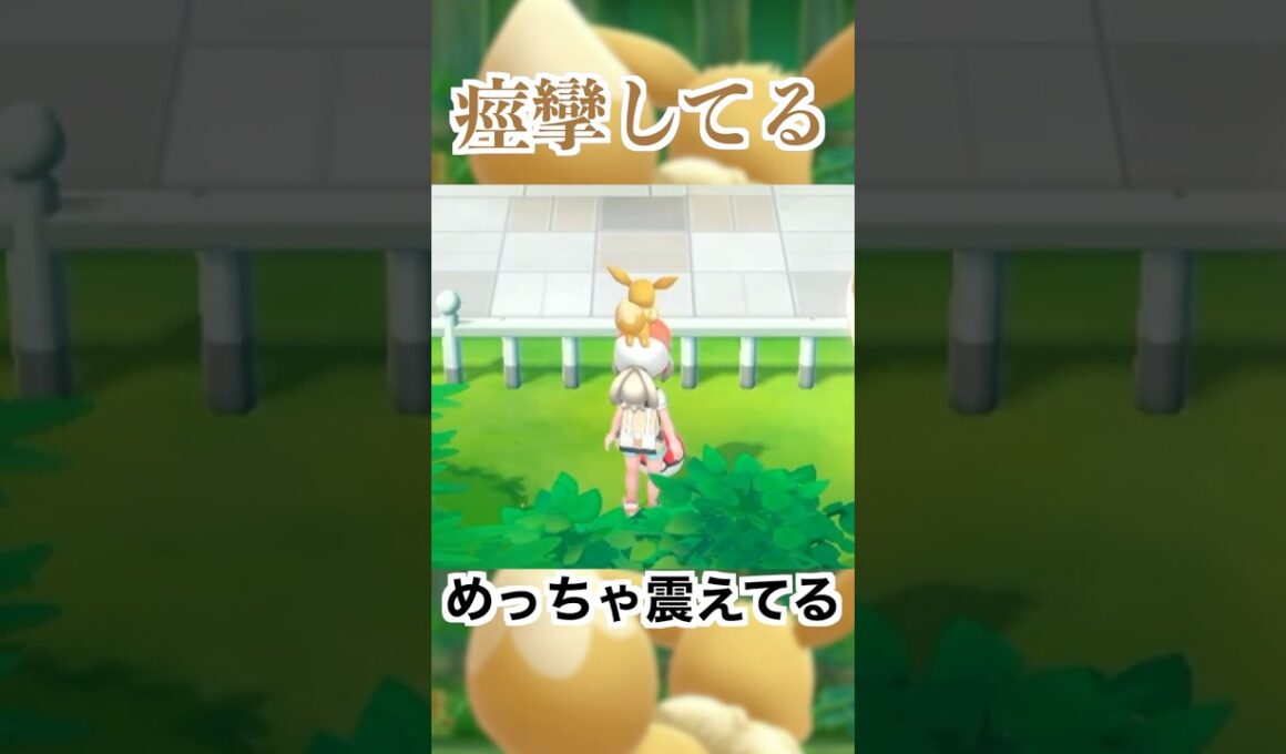 痙攣してる #ポケモン #ピカブイ #イーブイ