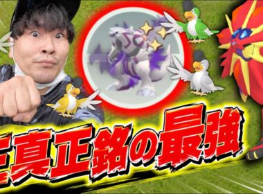 ヤバいヤバい!!!速報！空を飛ぶ影イベント！イキリンコ！ガチ最強レイドにソルガレオ色違い！【ポケモンGO】