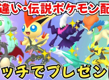 【ポケモンZA】色違いポケモン 伝説ポケモン配布 ビクティニ 色ダークライ 色ケルディオ 色メロエッタ 色メルメタル 色グラードン プレゼント【Pokémon LEGENDS Z-A】