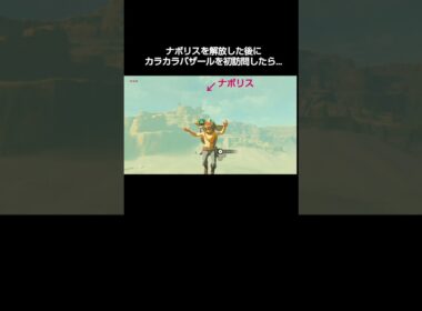 ナボリスを解した放後にカラカラバザールを初訪問したら…  #ブレワイ #botw #ゼルダの伝説 #legendofzelda
