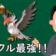 ポケチャンにおけるメガムクホーク