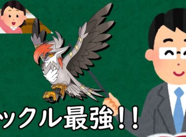 ポケチャンにおけるメガムクホーク