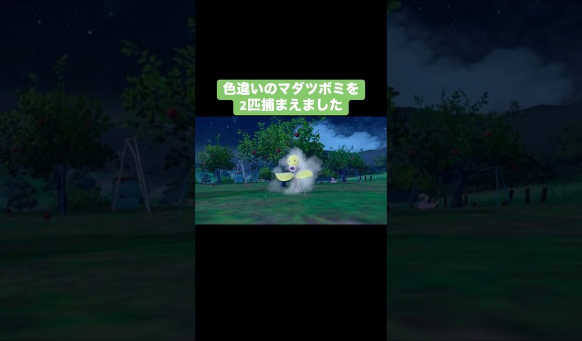 色違いのマダツボミ2匹捕まえました【ポケモンSV】