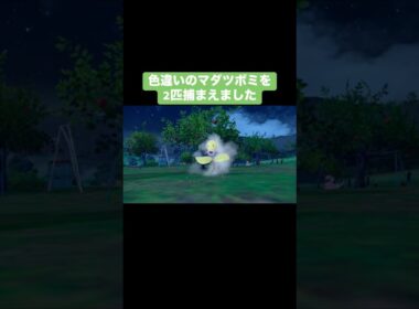 色違いのマダツボミ2匹捕まえました【ポケモンSV】
