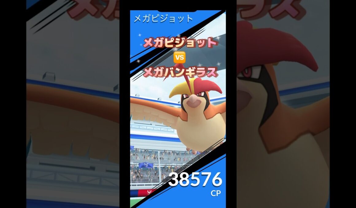 メガピジョット🆚メガバンギラス