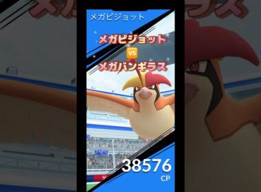 メガピジョット🆚メガバンギラス