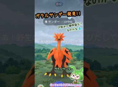 【ポケGO】ガラルサンダー発見！またCP低めってことは💧...なのだ。