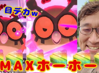 目デカ！！DMAXホーホー実装初日！アメXL集めがてら討伐してきた！パートーナーリサーチについても話してます！見てね！【ポケモンGO】
