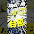 メガエアームド戦の準備運動だぜ！！！！！