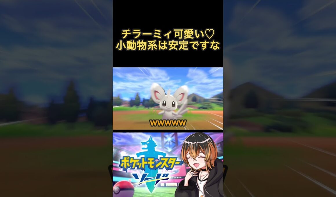 可愛い子は追いかけたくなっちゃうね #ポケモン #剣盾 #ゲーム実況