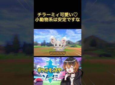 可愛い子は追いかけたくなっちゃうね #ポケモン #剣盾 #ゲーム実況