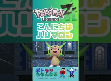 【ポケモンZA】こんにちはハリマロン #ポケモン御三家 #ポケモンza #pokemonza #ポケモン #switchおすすめ #ゲームプレイ #メガシンカ #pokemonxy #ポケモンxy