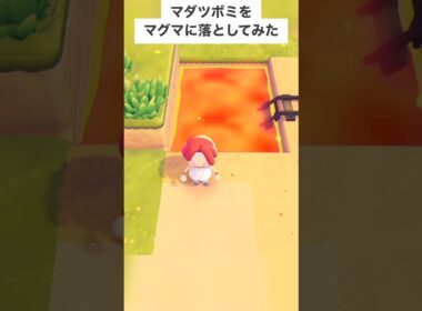 マダツボミをマグマに落としたら反応が面白すぎたwww【ぽこあポケモン】#shorts
