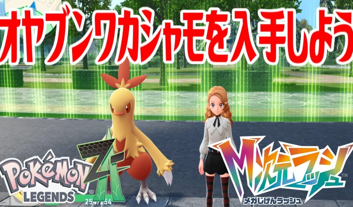 【ポケモンZ-A】オヤブンワカシャモを入手しよう 進化入手【Pokémon LEGENDS Z-A M次元ラッシュ】