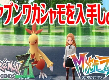 【ポケモンZ-A】オヤブンワカシャモを入手しよう 進化入手【Pokémon LEGENDS Z-A M次元ラッシュ】