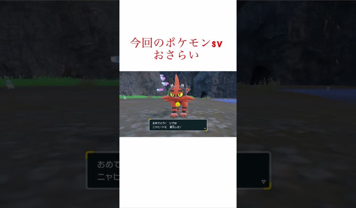 #ポケモンsv #ニャビー　から#ガオガエンまでと#ポカブ　から#エンブオー　まで〔#捕獲・#進化 シーン〕 #テラレイドバトル