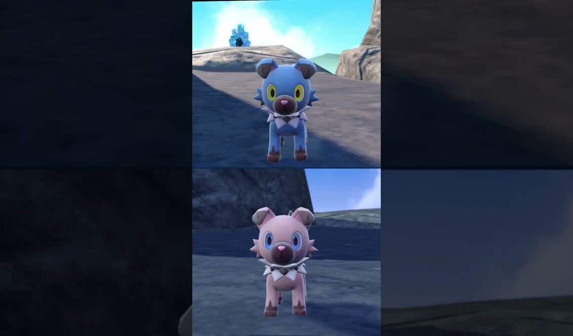 #イワンコ  #ポケモン  #rockruff  #pokemonscarletandviolet