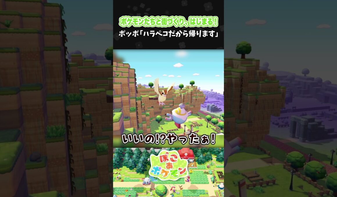 ポッポ「ハラペコだから帰ります」【ぽこ あ ポケモン】【ぽこポケ】【配信切り抜き】 #Shorts