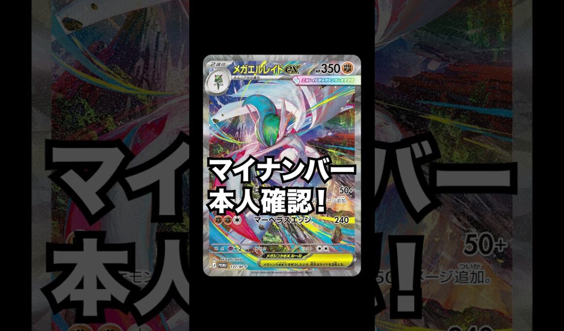 メガエルレイドSAR争奪戦、始まる！