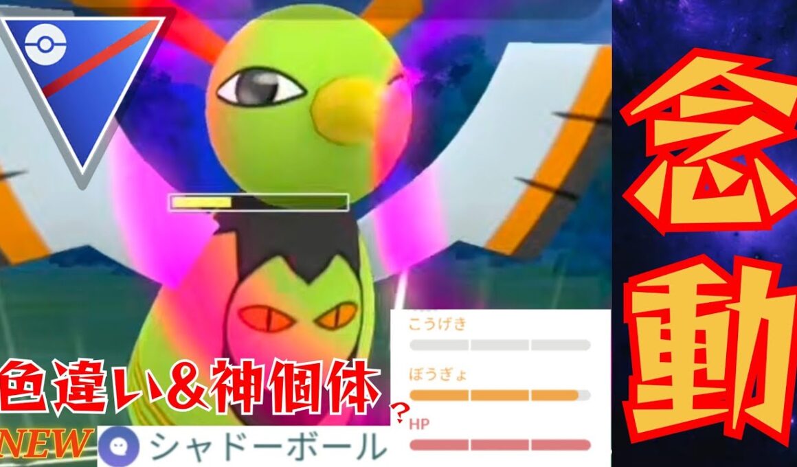 【色違い】ネイティオが超火力で破壊？！まさかの強化で活躍となるか？！【GBL】【スーパーリーグ】