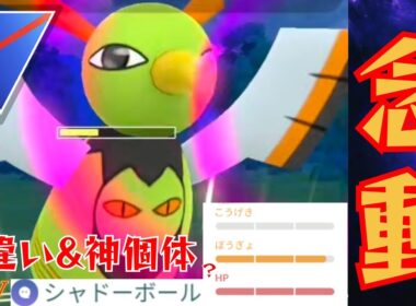 【色違い】ネイティオが超火力で破壊？！まさかの強化で活躍となるか？！【GBL】【スーパーリーグ】