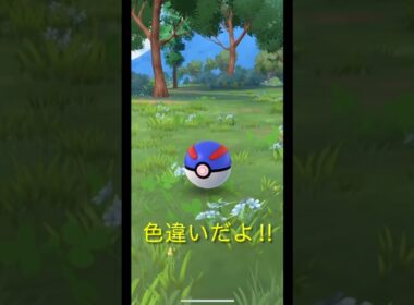 ポケモンGOで色違いペロッパフを捕まえる#ポケモン#色違い#ペロッパフ