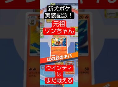 新犬ポケ実装記念！元祖ワンちゃん・ウインディはまだ戦える　 #ポケポケ  #進撃パラドックス