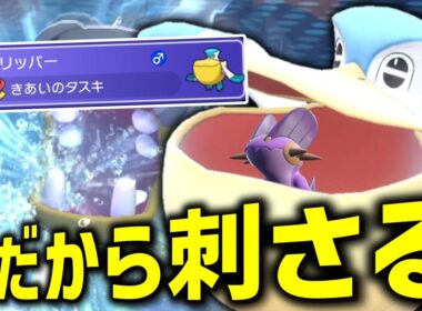 しめったいわが追加された今だからこそタスキ持ちの「ペリッパー」が刺さる。【ゆっくり実況】【ポケモンチャンピオンズ】
